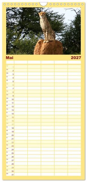 Produktbild: Familienplaner 2027 - Geparden - Begegnungen in Afrika mit 5 Spalten (Wandkalender, 21 x 45 cm) CALVENDO