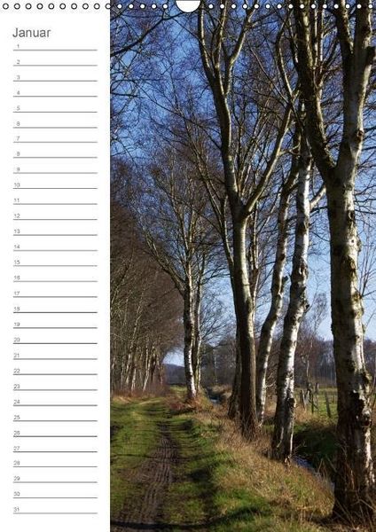 Produktbild: Malerisches Teufelsmoor (Wandkalender immerw&auml;hrend DIN A3 hoch)