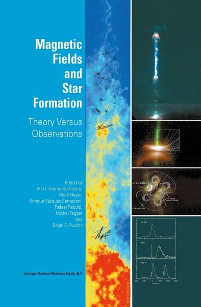 Produktbild: Magnetic Fields and Star Formation