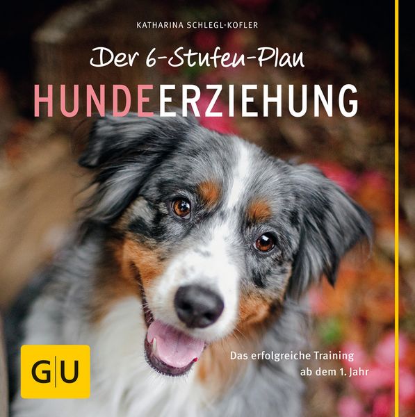 Produktbild: Der 6-Stufen-Plan Hundeerziehung
