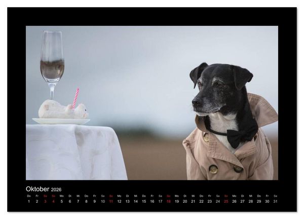 Produktbild: Jack Russell Terrier.....Ein Verwandlungsk&uuml;nstler namens Jake (hochwertiger Premium Wandkalender 2026 DIN A2 quer), Kunstdruck in Hochglanz