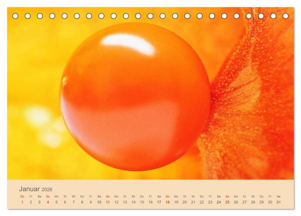 Produktbild: Fantastische Reise in die Welt der Blumen (Tischkalender 2026 DIN A5 quer), CALVENDO Monatskalender