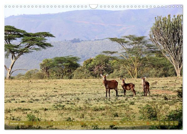 Produktbild: Traumlandschaften Kenia (Wandkalender 2026 DIN A3 quer), CALVENDO Monatskalender