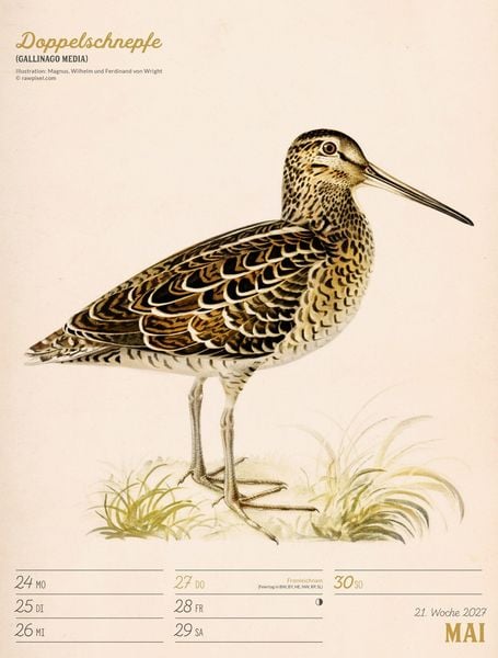 Produktbild: Wunderbare Vogelwelt Wochenplaner Kalender 2027