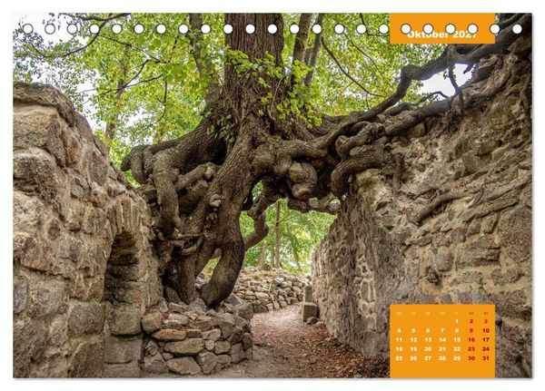 Produktbild: Traumhafter Harz (Tischkalender 2027 DIN A5 quer), CALVENDO Monatskalender