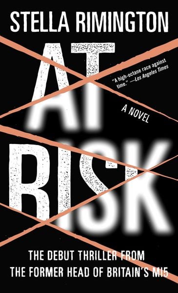 Produktbild: At Risk