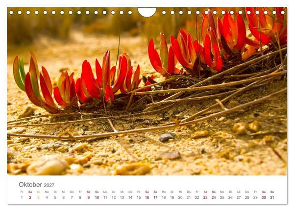 Produktbild: Alentejo Portugal - K&uuml;stenimpressionen (Wandkalender 2027 DIN A4 quer), CALVENDO Monatskalender