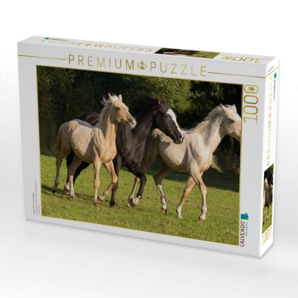 Produktbild: CALVENDO Puzzle junge Palominohengste | 1000 Teile Lege-Gr&ouml;&szlig;e 64x48cm Foto-Puzzle f&uuml;r gl&uuml;ckliche Stunden