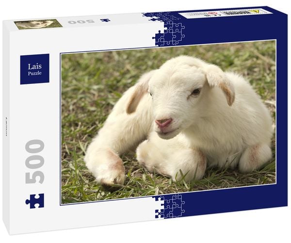 Produktbild: Lais Puzzle Lamm 500 Teile