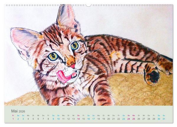 Produktbild: KATZEN PortraiTierART (Wandkalender 2026 DIN A2 quer), CALVENDO Monatskalender