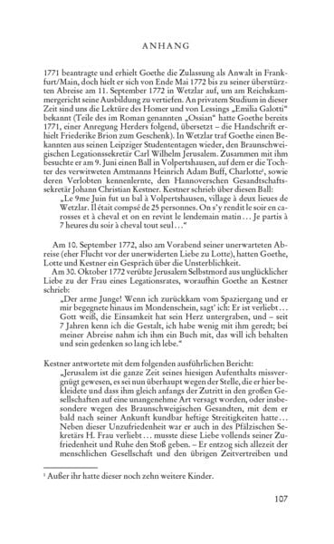 Produktbild: Die Leiden des jungen Werther