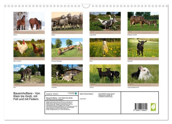 Produktbild: Bauernhoftiere - Von Klein bis Gro&szlig;, mit Fell und mit Federn. (Wandkalender 2026 DIN A3 quer), CALVENDO Monatskalender