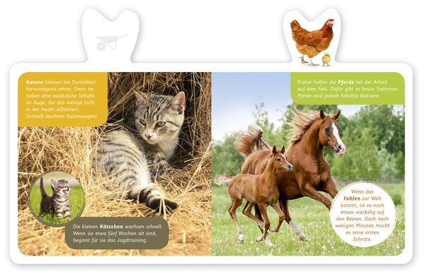 Produktbild: Bauernhof-Tiere