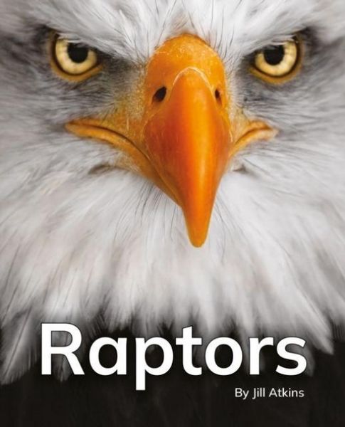 Produktbild: Raptors
