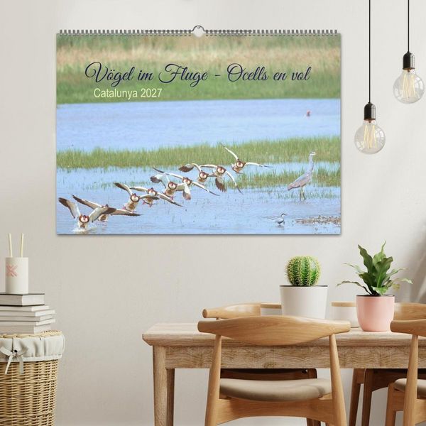 Produktbild: V&ouml;gel im Fluge - Ocells en vol (Wandkalender 2027 DIN A2 quer), CALVENDO Monatskalender