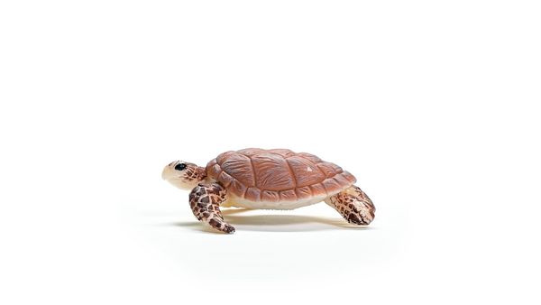 Produktbild: schleich&reg; 14876 - Wild Life, Echte Karettschildkr&ouml;te, L&auml;nge: 6,5 cm
