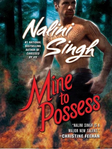 Produktbild: Mine to Possess