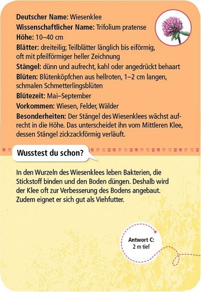 Produktbild: Expedition Natur - 50 heimische Blumen