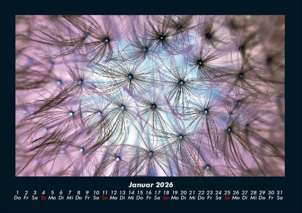 Produktbild: Blumentr&auml;ume 2026 Fotokalender DIN A4