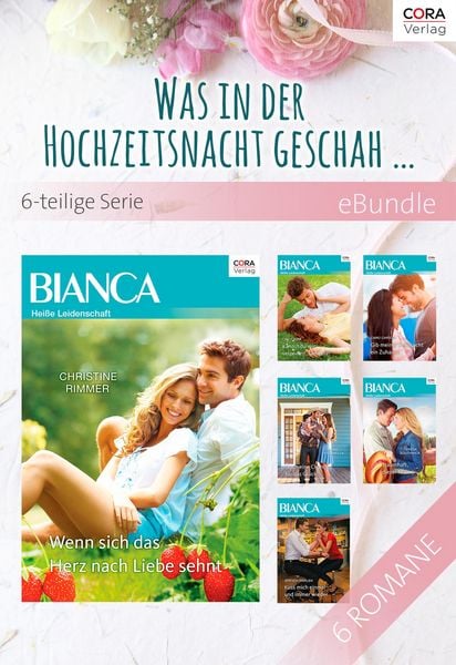 Produktbild: Montana Mavericks - Was in der Hochzeitsnacht geschah ... - 6-teilige Serie