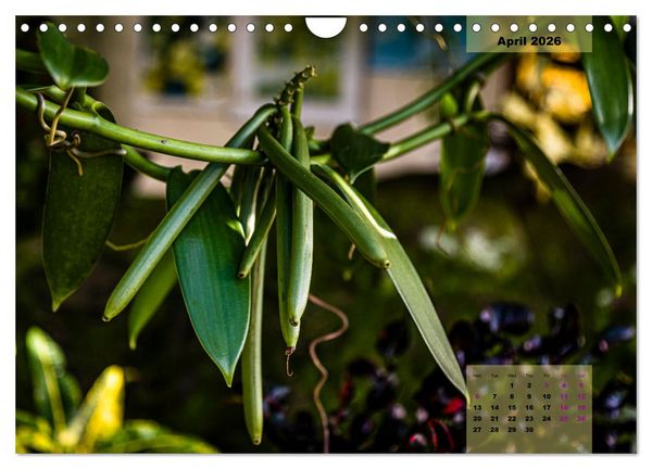 Produktbild: Fruits of Grenada (Wall Calendar 2026 DIN A4 landscape), CALVENDO 12 Month Wall Calendar