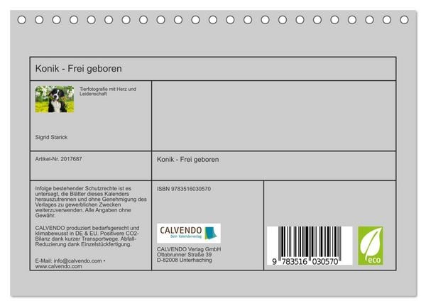 Produktbild: Konik - Frei geboren (Tischkalender 2026 DIN A5 quer), CALVENDO Monatskalender