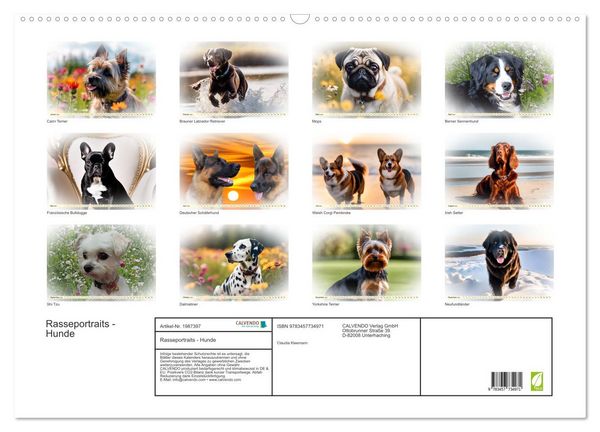 Produktbild: Rasseportraits - Hunde (Wandkalender 2026 DIN A2 quer), CALVENDO Monatskalender