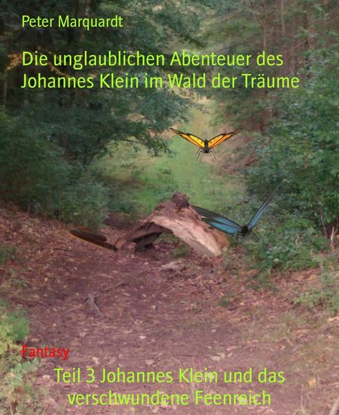 Produktbild: Teil 3 Johannes Klein und das verschwundene Feenreich