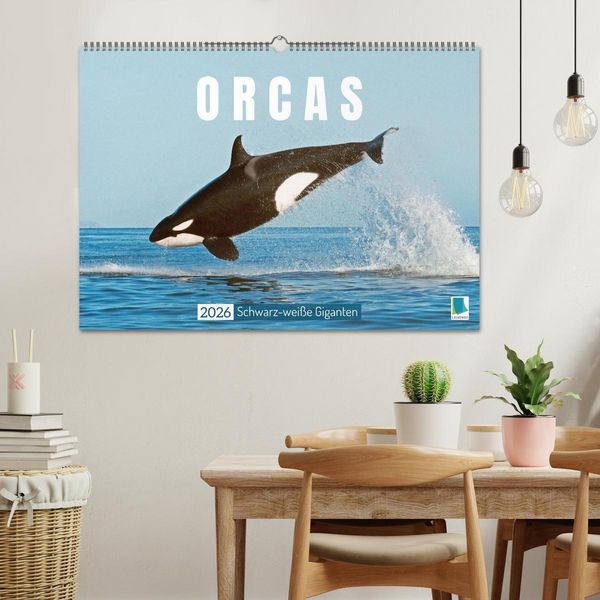 Produktbild: Orcas: Schwarz-wei&szlig;e Giganten (Wandkalender 2026 DIN A2 quer), CALVENDO Monatskalender