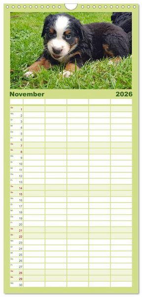 Produktbild: Familienplaner 2026 - Rasselbande mit 40 Pfoten mit 5 Spalten (Wandkalender, 21 x 45 cm) CALVENDO