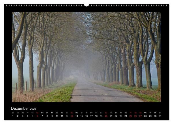 Produktbild: M&auml;rchenhafter Reinhardswald und Urwald Sababurg (hochwertiger Premium Wandkalender 2026 DIN A2 quer), Kunstdruck in Hochglanz