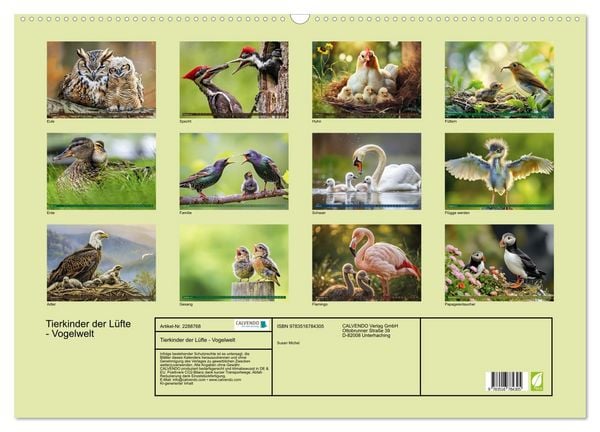 Produktbild: Tierkinder der L&uuml;fte - Vogelwelt (Wandkalender 2027 DIN A2 quer), CALVENDO Monatskalender