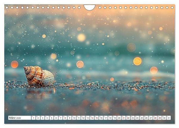 Produktbild: Sandgefl&uuml;ster und Muschelzauber (Wandkalender 2026 DIN A4 quer), CALVENDO Monatskalender