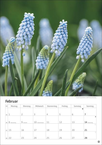 Produktbild: Gartenzauber Kalender 2027