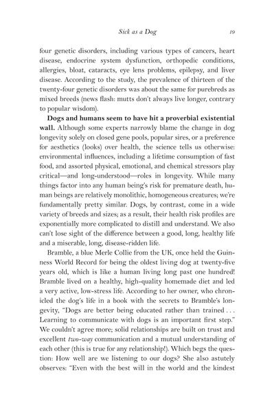 Produktbild: The Forever Dog