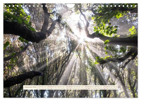 Produktbild: Magical Tenerife (Wall Calendar 2026 DIN A4 landscape), CALVENDO 12 Month Wall Calendar