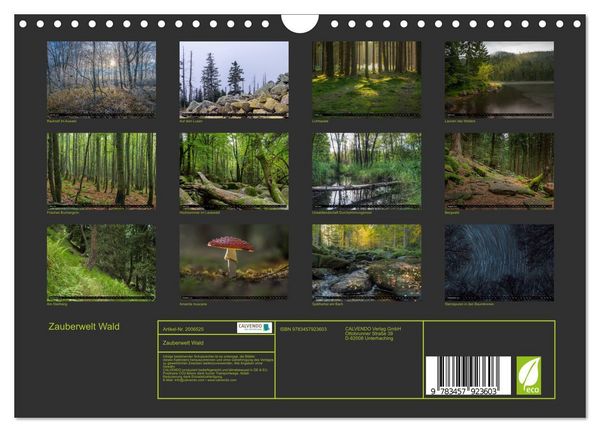 Produktbild: Zauberwelt Wald (Wandkalender 2026 DIN A4 quer), CALVENDO Monatskalender
