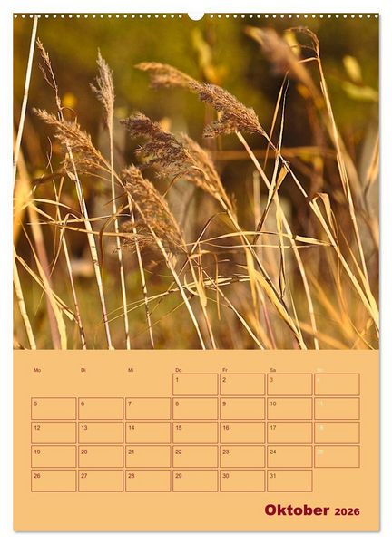Produktbild: Wald- und Wiesenkalender 2026 Planer (Wandkalender 2026 DIN A2 hoch), CALVENDO Monatskalender
