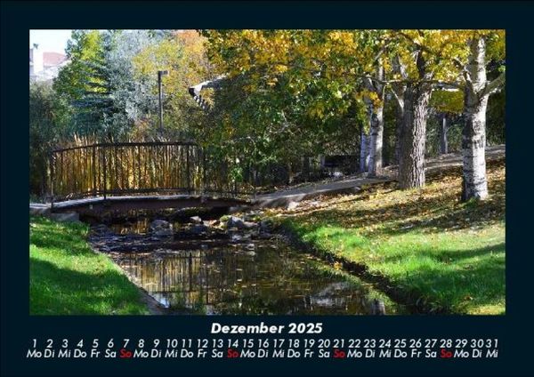 Produktbild: B&auml;ume 2025 Fotokalender DIN A5