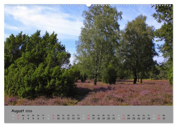 Produktbild: L&uuml;neburger Heide - sch&ouml;n zu jeder Jahreszeit (hochwertiger Premium Wandkalender 2026 DIN A2 quer), Kunstdruck in Hochglanz