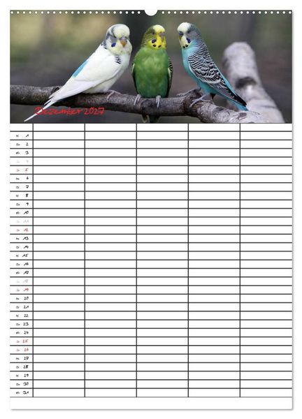Produktbild: Wellensittiche (Wandkalender 2027 DIN A2 hoch), CALVENDO Monatskalender