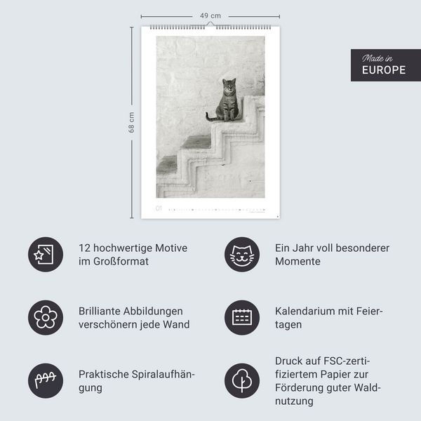 Produktbild: Cats Edition Kalender 2027