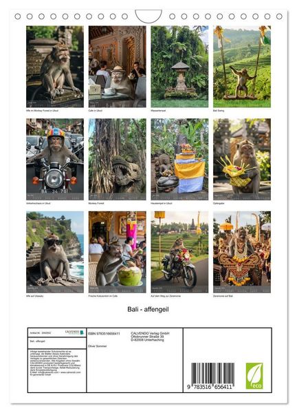 Produktbild: Bali - affengeil (Wandkalender 2026 DIN A4 hoch), CALVENDO Monatskalender