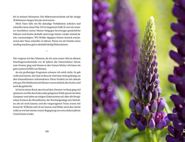 Produktbild: Das Glück wächst im Garten