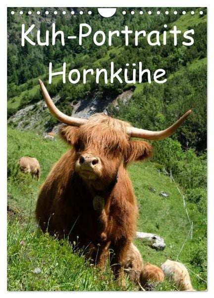 Produktbild: Kuhportraits Hornk&uuml;he (Wandkalender 2026 DIN A4 hoch), CALVENDO Monatskalender