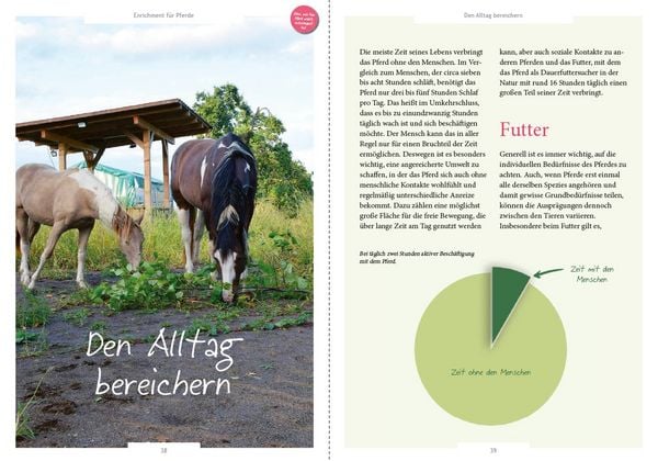 Produktbild: Enrichment f&uuml;r Pferde