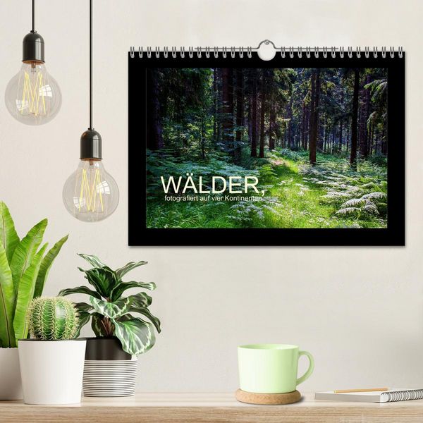 Produktbild: W&auml;lder, fotografiert auf vier Kontinenten (Wandkalender 2026 DIN A4 quer), CALVENDO Monatskalender