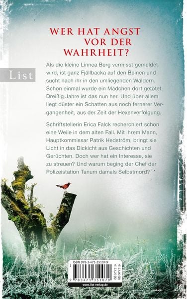 Produktbild: Die Eishexe