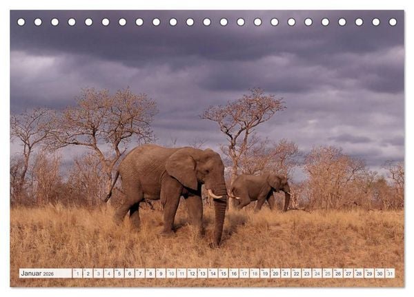 Produktbild: S&uuml;dafrika / Landschaften & Tiere / Christian Heeb (Tischkalender 2026 DIN A5 quer), CALVENDO Monatskalender