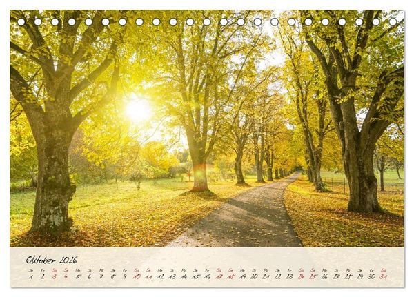 Produktbild: Lieblingsorte in und um T&uuml;bingen (Tischkalender 2026 DIN A5 quer), CALVENDO Monatskalender